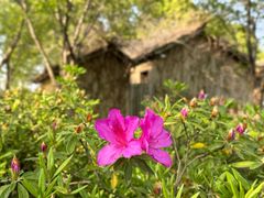 -苏州太湖湖滨国家湿地公园