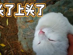 -颐和园