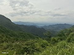 -东白山
