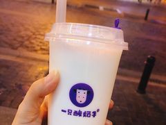 -一只酸奶牛(八一路店)
