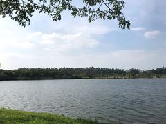 -松山湖南湖湾露营营地