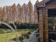 -禧室Joyous Lounge(禧园店)