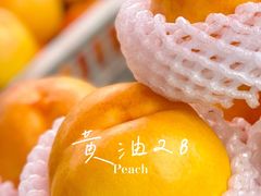 -望湖烤鱼