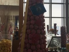 -视界美食自助餐厅·石家庄希尔顿酒店