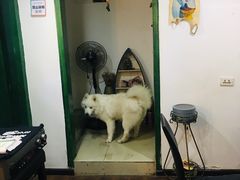 -水果湖儿童公园