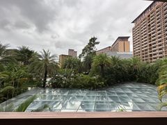 -三亚湾红树林度假世界(木棉酒店)