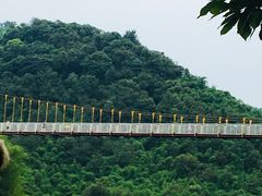-川西竹海景区
