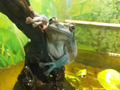 android_upload_pic-上海大自然野生昆虫馆