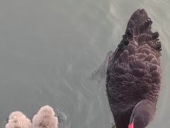 -玄武湖景区-情侣园游乐场