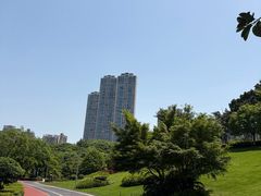 -龙头寺公园