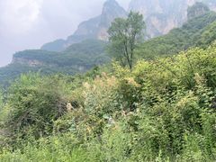 -太行锡崖沟旅游度假区