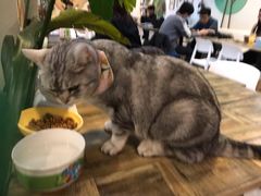 -小时光咖啡馆(北锣鼓巷店)