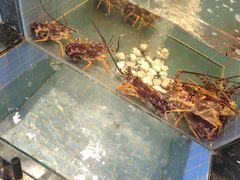 -金海湾海鲜总店