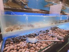 -喜庭海鲜自助(来福士店)