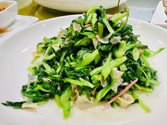 鸡毛菜百叶丝-老吉士酒家(天平路店)