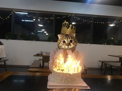 -丁先生蛋糕·品质鲜作(桐梓林店)