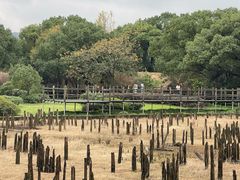 -河姆渡遗址博物馆