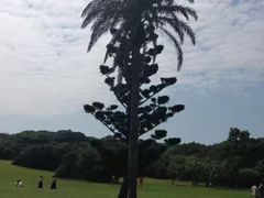 -鹅銮鼻公园