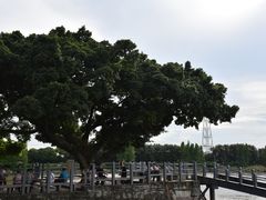 -黄埔古港