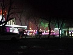 -枫花园汽车电影院(朝阳公园店)