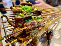 鳝鱼-晓靖轩烧烤(沙河风情店)