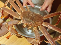 -镹·鱼料理  国产鱼使用店