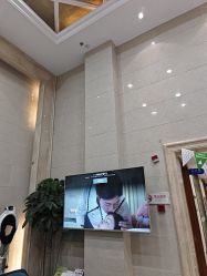 -碧莲盛·不剃发植发