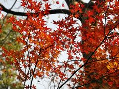 -杭州半山国家森林公园