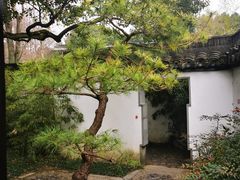 -上海醉白池公园
