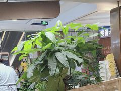 -云海肴·汽锅鸡·云南菜(广安门天虹店)