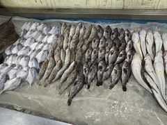 -鑫渔港海鲜本地菜·山海关浑锅(东戴河店)