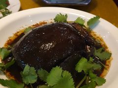 -呼吸森林·生态农庄农家乐私房菜