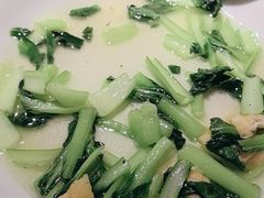 -東大方(安吉灵芝店)