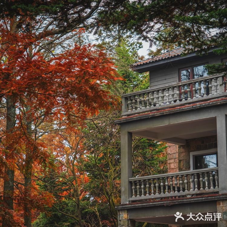莫干山的深秋,迷人色彩惹人醉