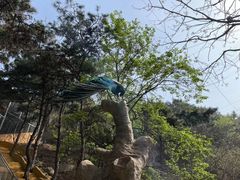 -燕塞湖鸟语林景区