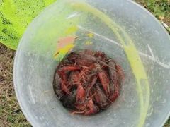 -杭州六谷生态休闲农庄有限公司