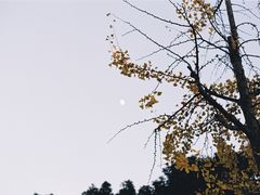 -东钱湖旅游度假区