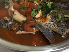 -风鑫铃罗非鱼(道沟店)