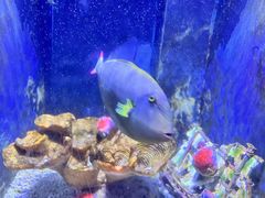 -常州海昌海洋探索馆
