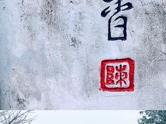 -重庆彩云湖湿地公园