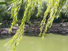 -石岛赤山风景区