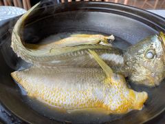 泉水黄花鱼-锦園(伊势丹美食城店)