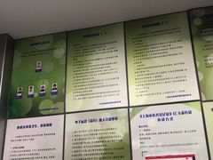 -申普宠物医院·心脏介入·心血管微创(总院)