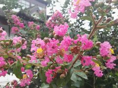 -威海华夏城景区