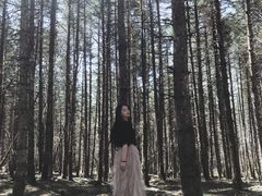 -石棉县孟获城