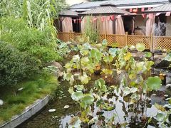 -湘力力小院·鱼汤泡饭(枫林路店)