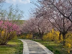 -长春市南湖公园