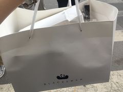 -BLACKSWAN黑天鹅(环球店)