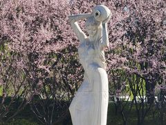 -丰台花园