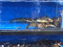 -七鲜超市(万向城店)